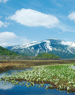 富士箱根伊豆国立公園 | 国立公園一覧 | 国立公園に、行ってみよう