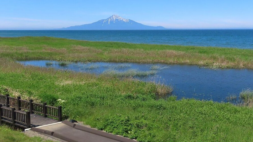 【写真】浜勇知園地