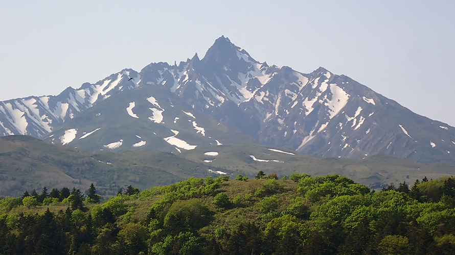 【写真】利尻山