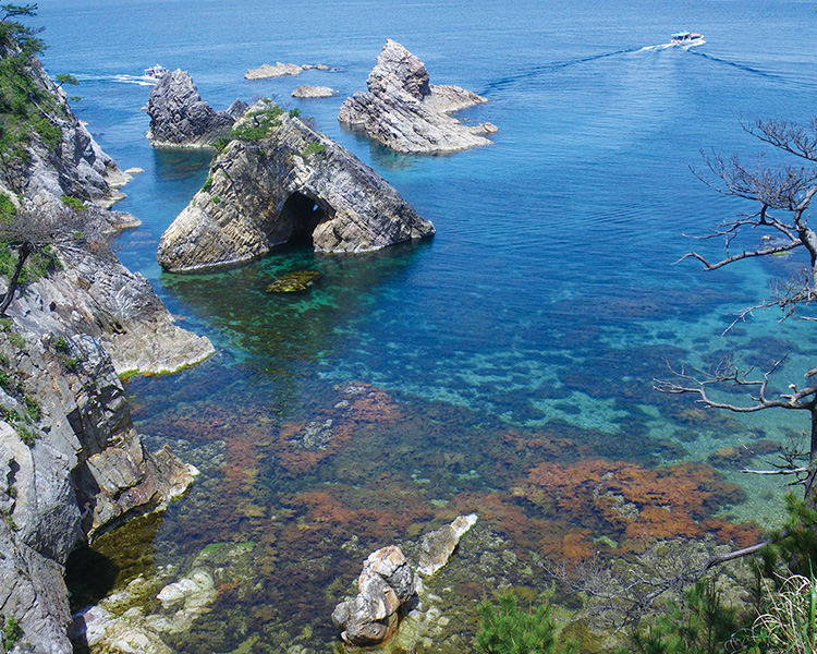 山陰海岸国立公園（SP表示）