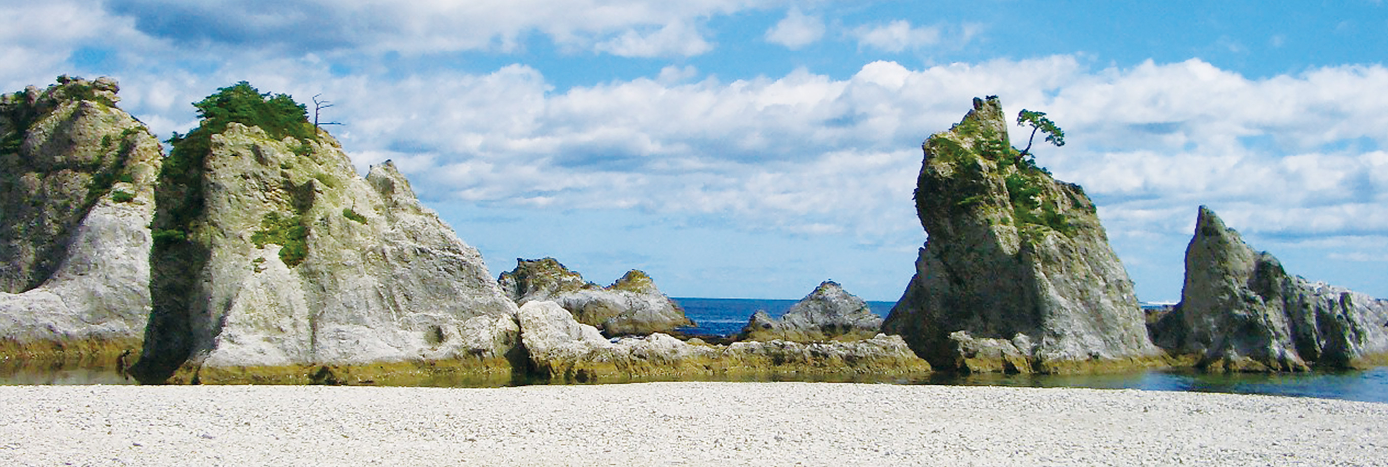 三陸復興国立公園（PC表示）
