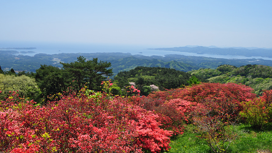 【写真】田束山