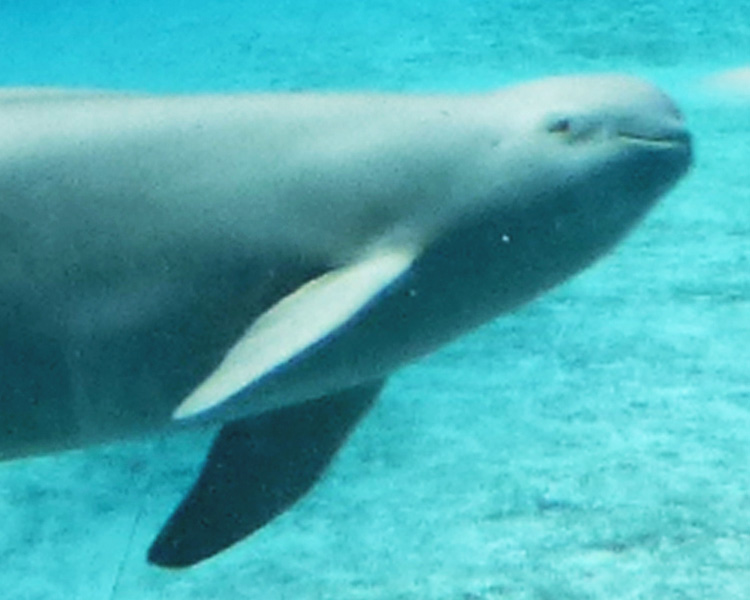 瀬戸内海国立公園（SP表示）