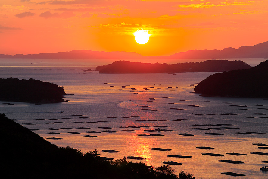 【写真】牡蠣と牡蠣筏の風景