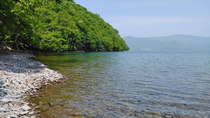 【写真】中島（湖の森・博物館）