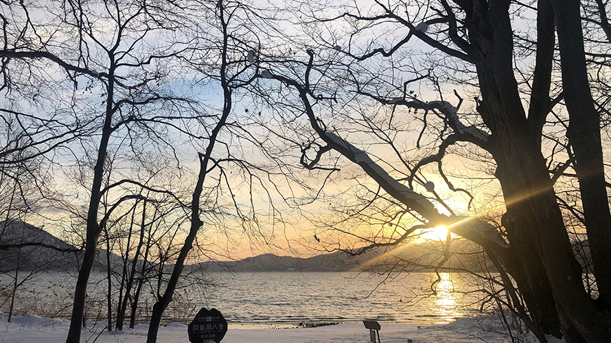 【写真】財田自然観察道 水辺の森の小径