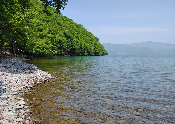 【サムネイル】中島（湖の森・博物館）