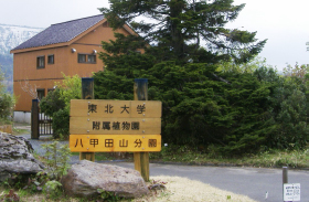 高山植物園の写真