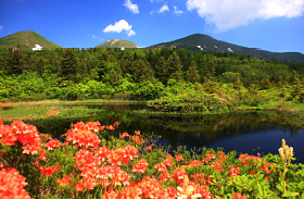 八甲田の山々の写真