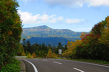 樹海ライン