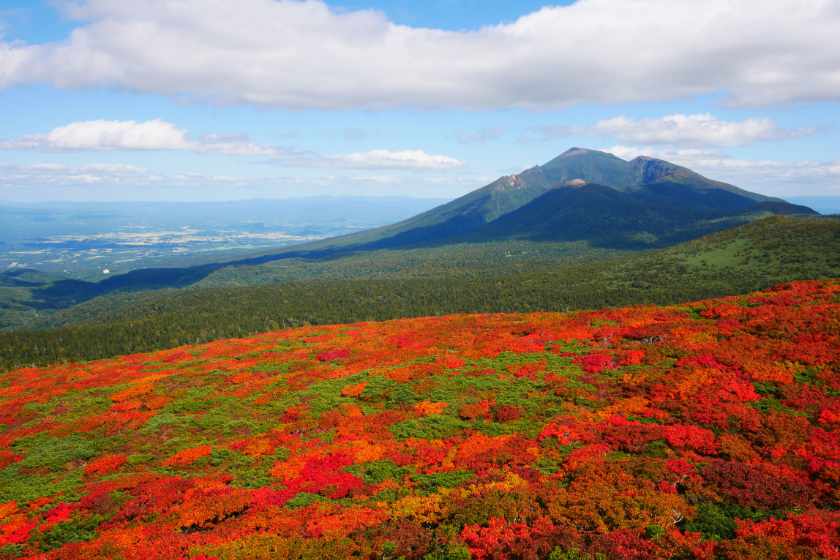 三ツ石山荘（避難小屋）