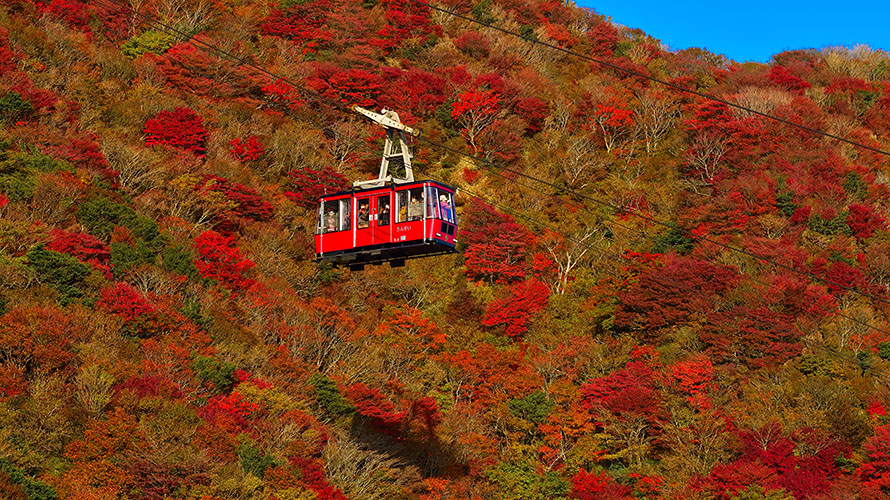 【写真】紅葉（仁田峠）