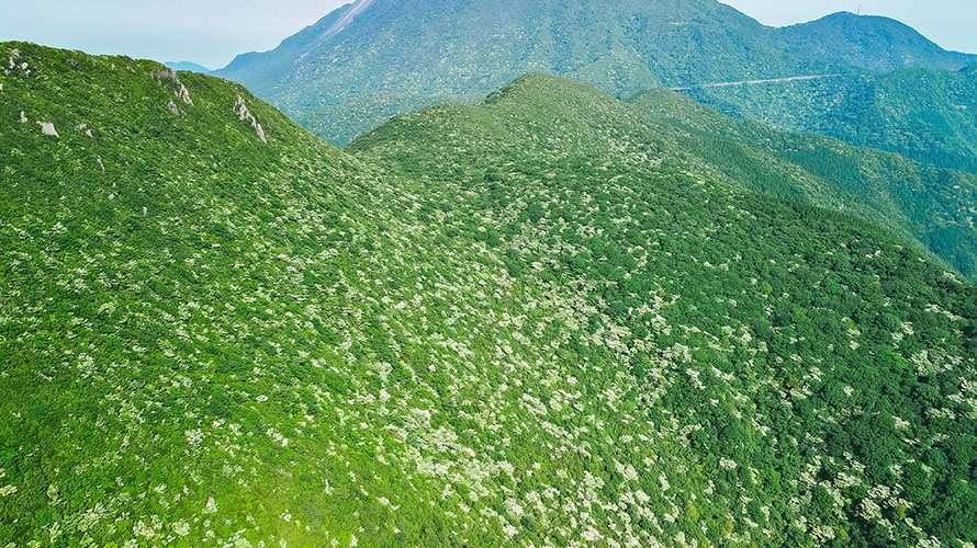 【写真】九千部岳