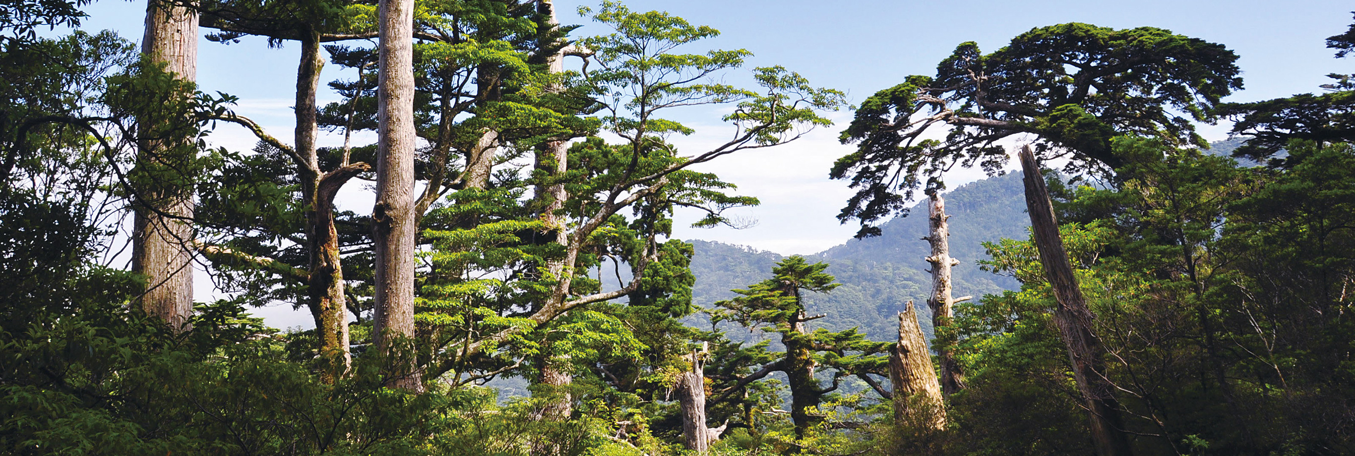 屋久島国立公園（PC表示）