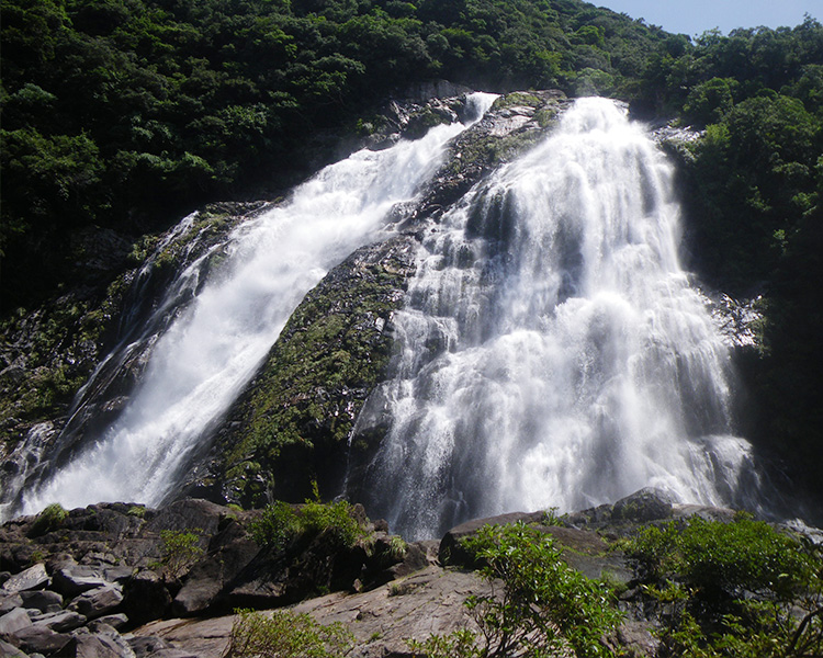 屋久島国立公園（SP表示）