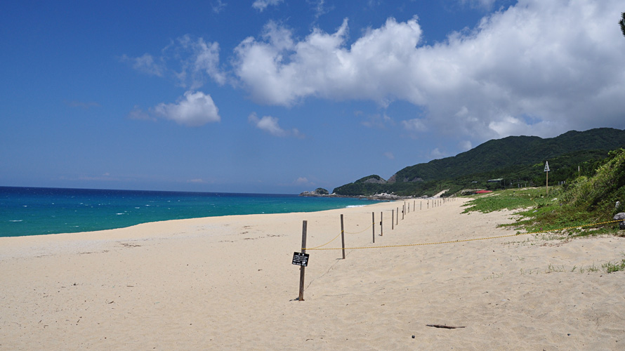 【写真】永田浜