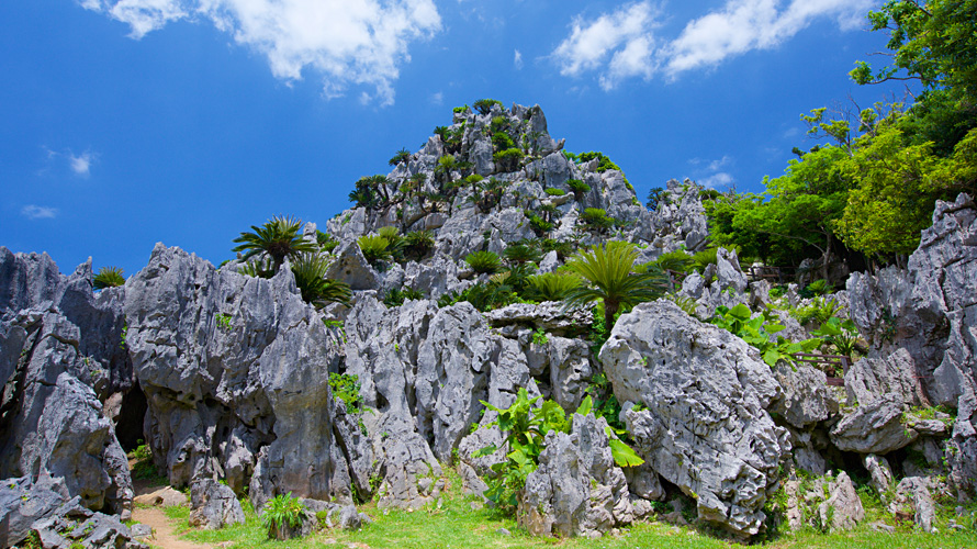 【写真】大石林山