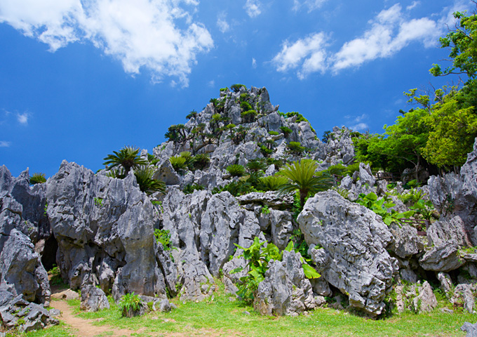 【サムネイル】大石林山