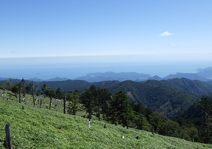 【サムネイル】大台ヶ原