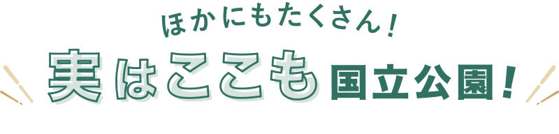 ほかにもたくさん！実はここも国立公園