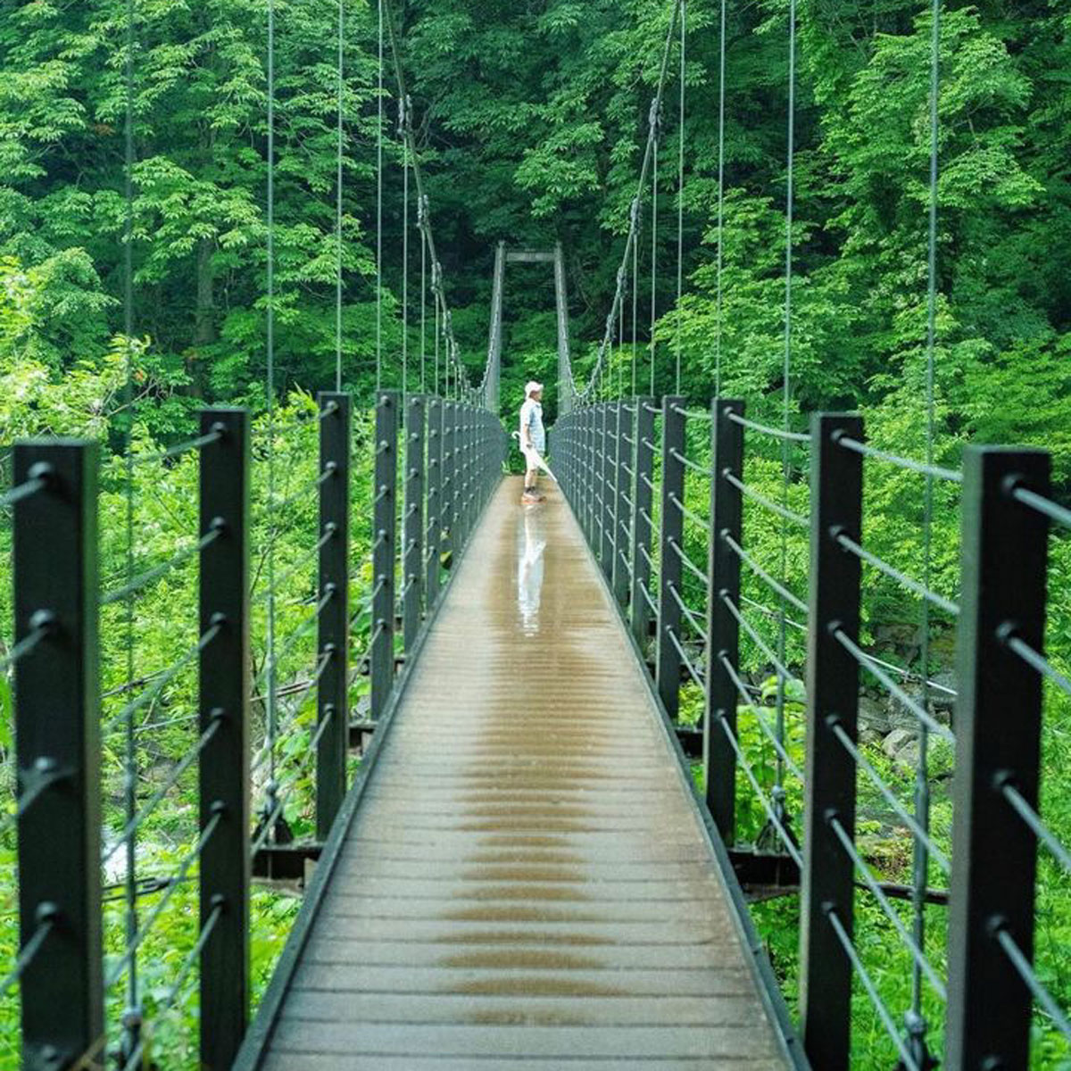 妙高戸隠連山国立公園 写真1