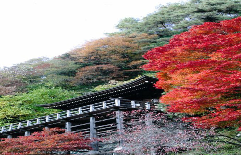 長野県のスライダー画像 1