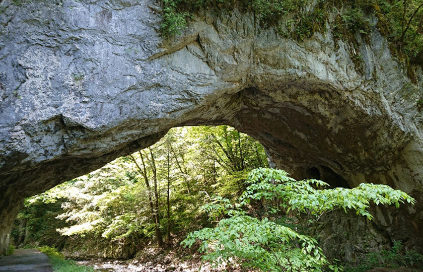 広島県のスライダー画像 2