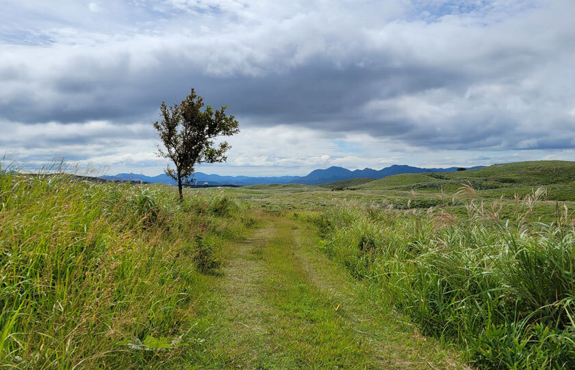 山口県のスライダー画像 2