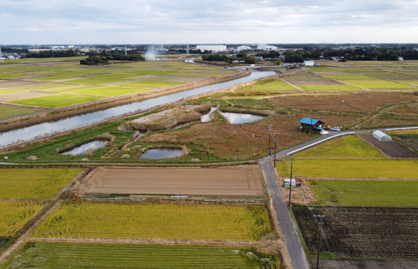 千葉県のスライダー画像 2