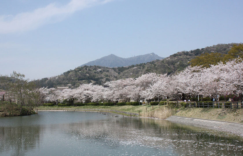 茨城県のスライダー画像 3