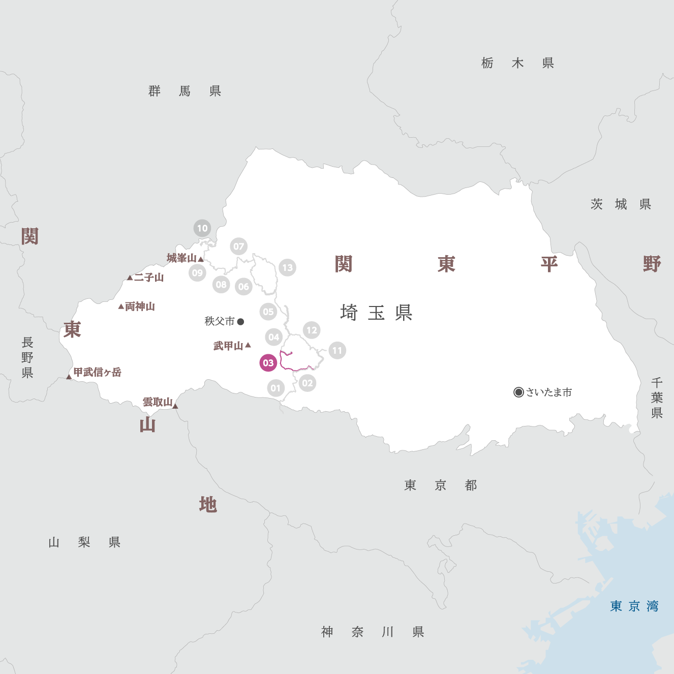 埼玉県の地図