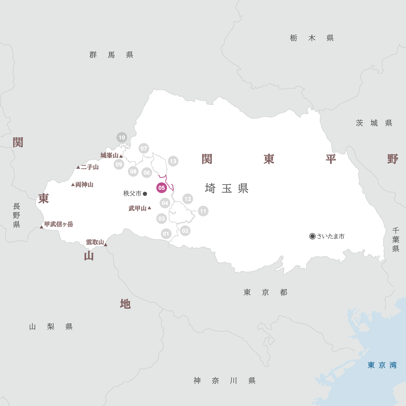 埼玉県の地図