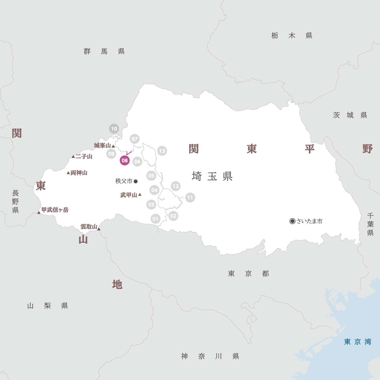 埼玉県の地図