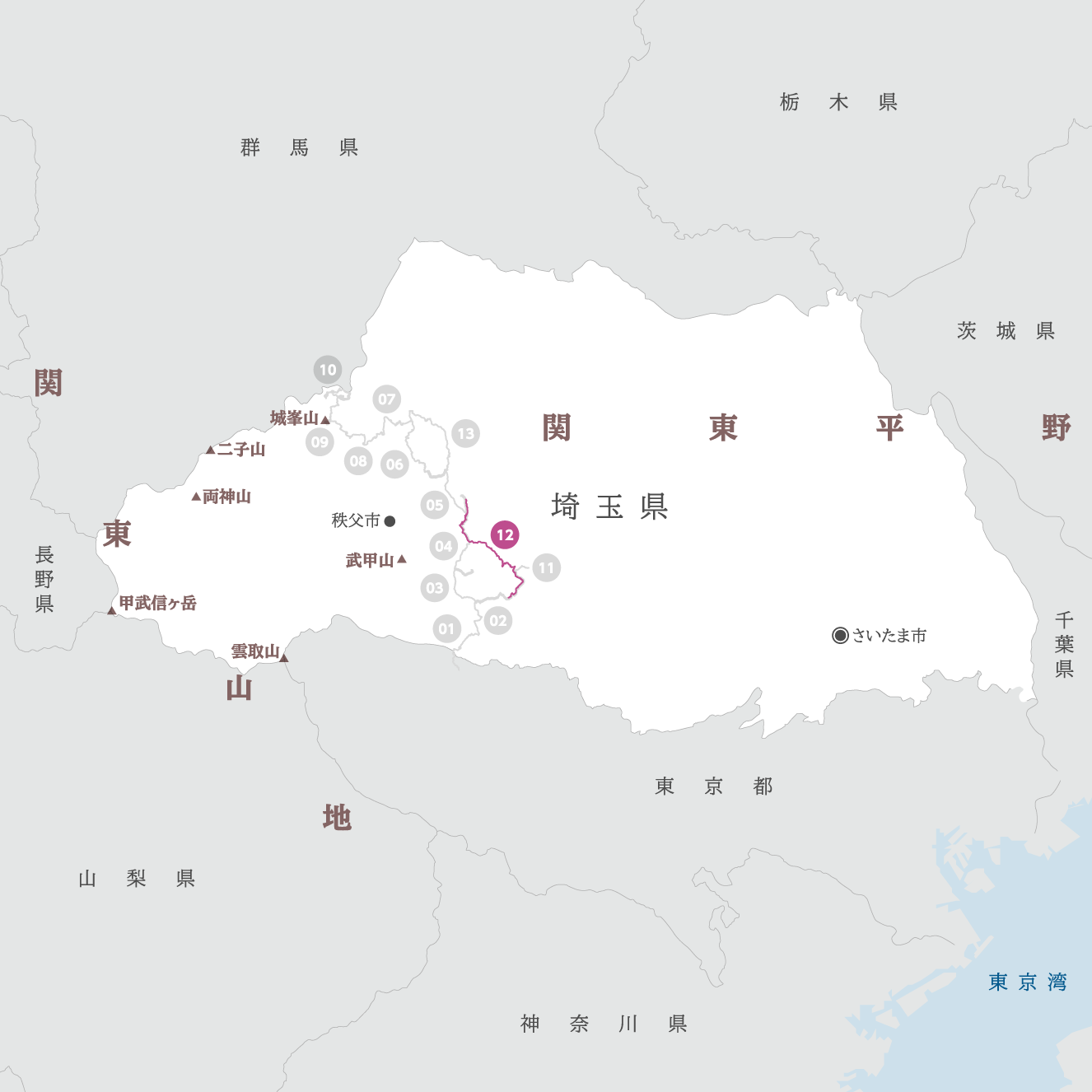 埼玉県の地図