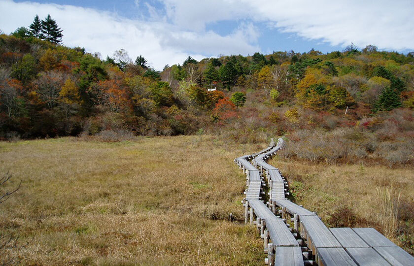 栃木県のスライダー画像 4