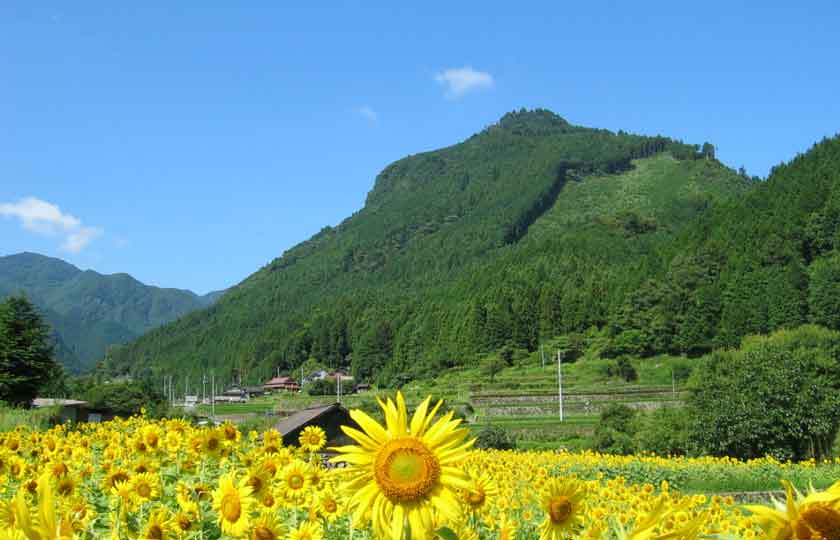 福岡県のスライダー画像 4