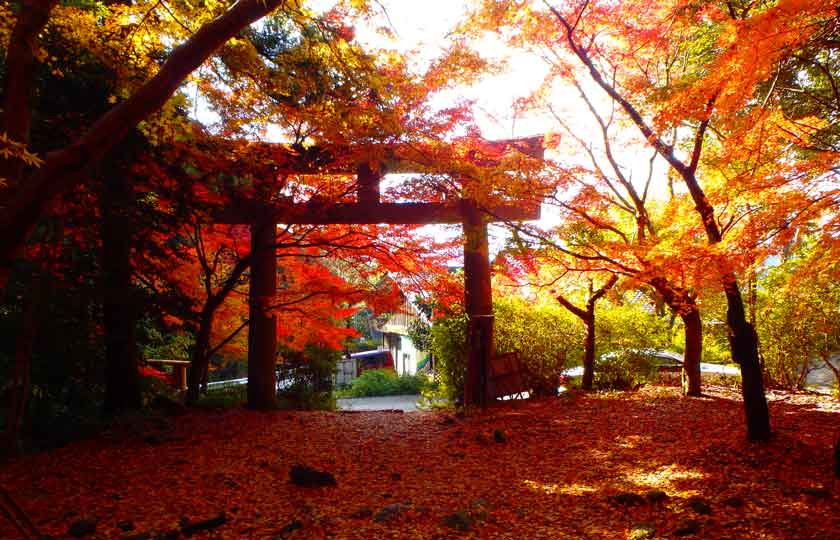 福岡県のスライダー画像 5