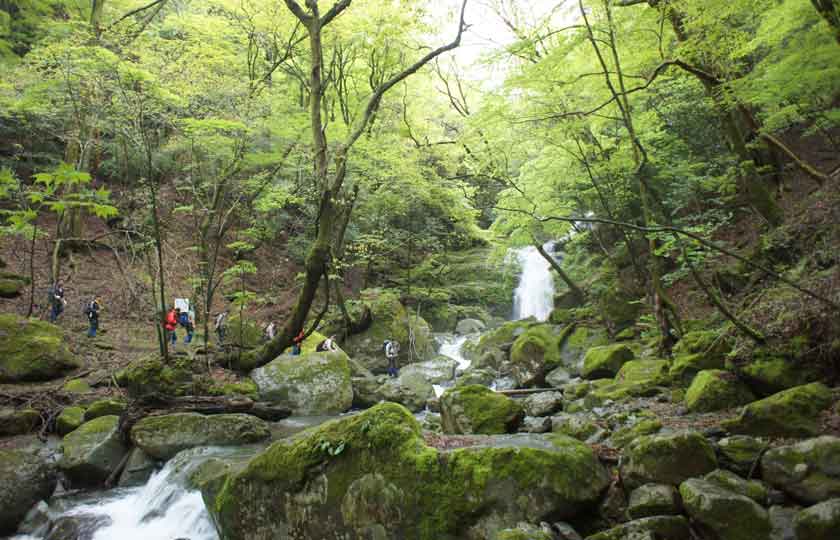 大分県のスライダー画像 2