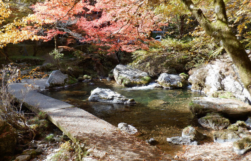 愛媛県のスライダー画像 1