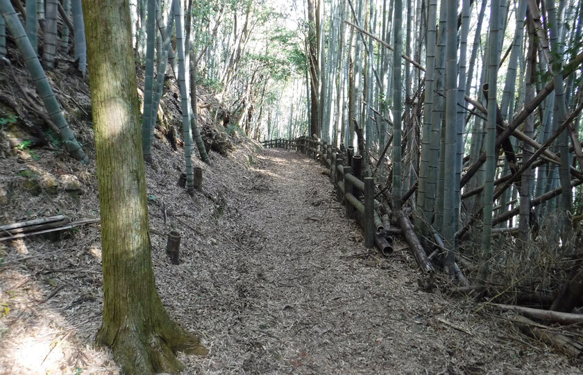 愛媛県のスライダー画像 3