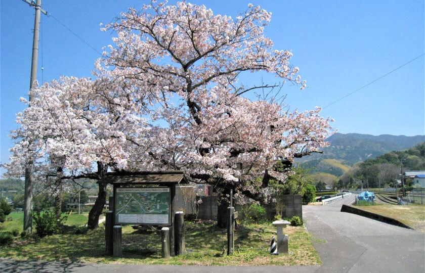 香川県のスライダー画像 3