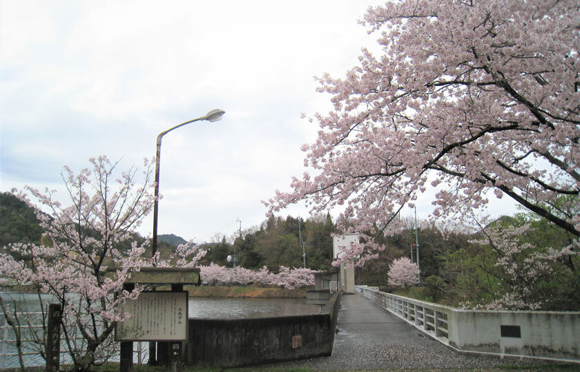 香川県のスライダー画像 4