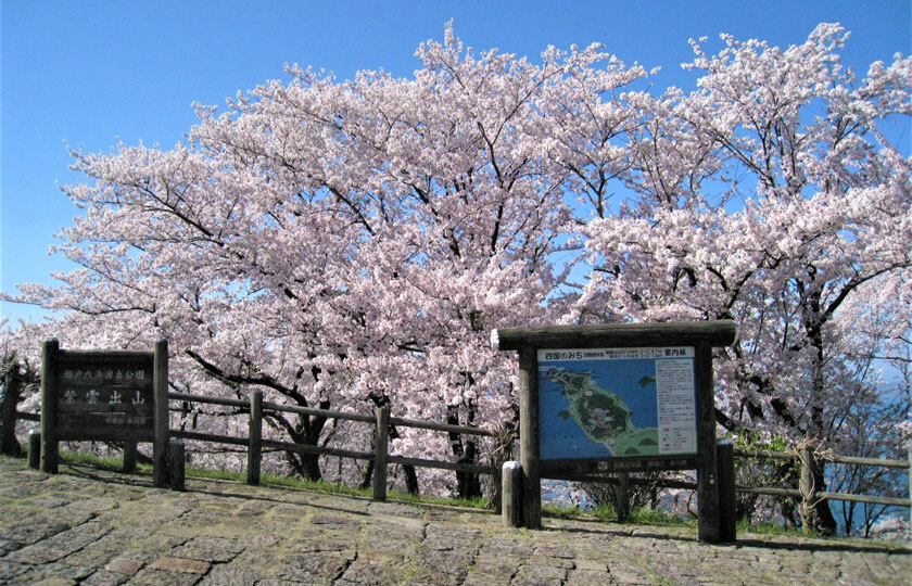 香川県のスライダー画像 5