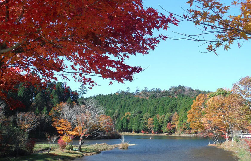 愛知県のスライダー画像 1