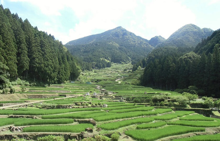 愛知県のスライダー画像 2