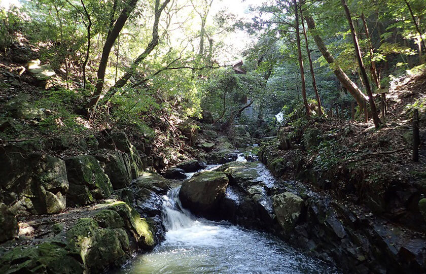 愛知県のスライダー画像 4