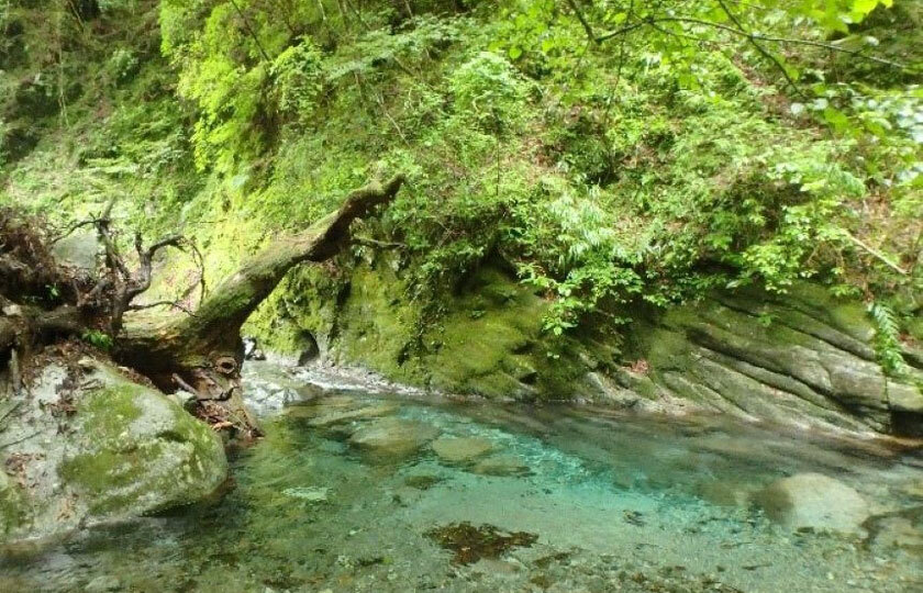 神奈川県のスライダー画像 1