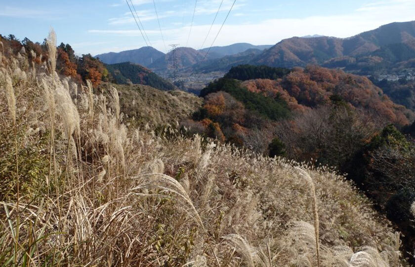 神奈川県のスライダー画像 2