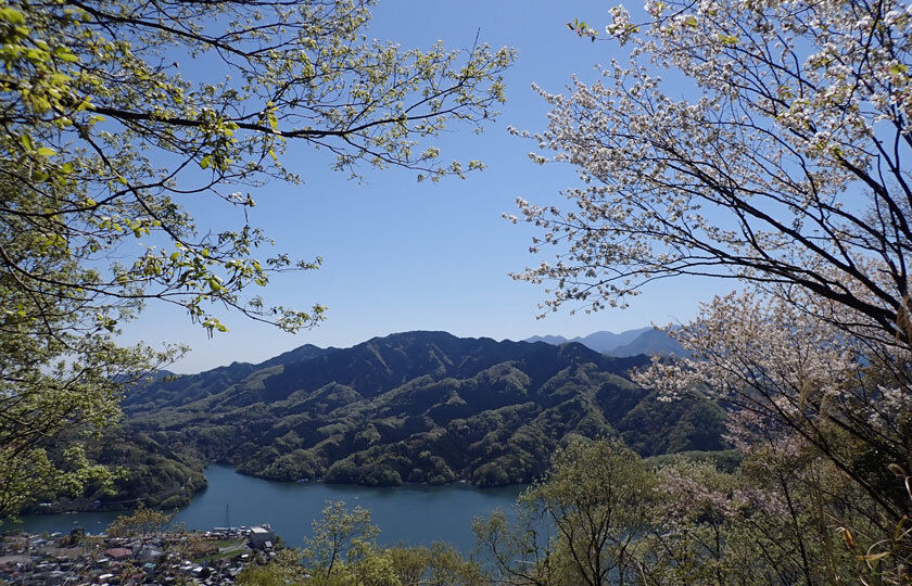 神奈川県のスライダー画像 5