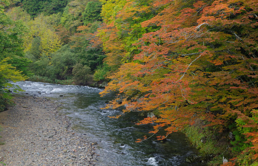 青森県のスライダー画像 3